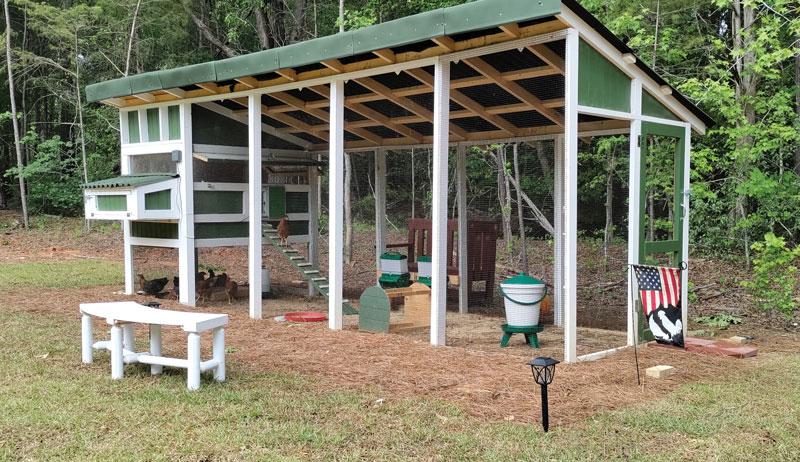 This Cool Chicken Coop Keeps It Cool In South Carolina